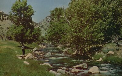 Jones Creek 1 Mile Above Where It Joins Green River Vernal Utah Vintage Postcard