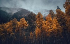 Landscape fall trees nature mountains forest Custom Gaming Mat Desk