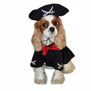 pirate costumes for dogs