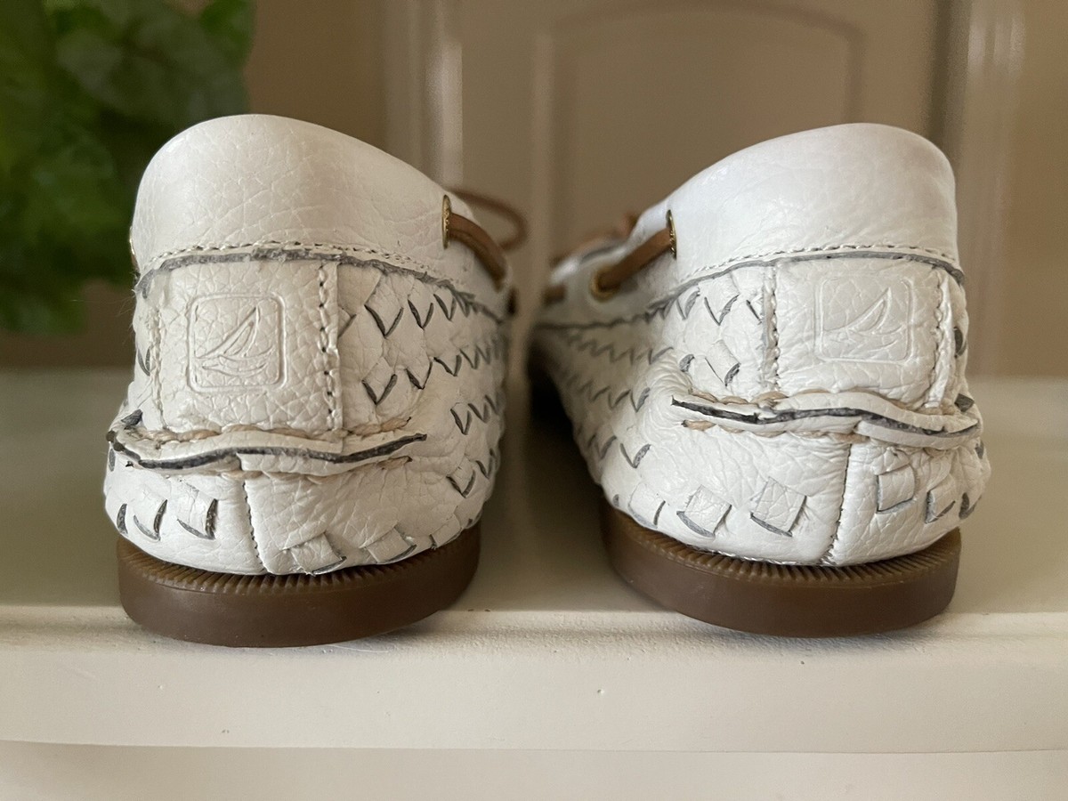 Wildlife Conservation | PDF | American Bison | Zoo, image size:1200x900