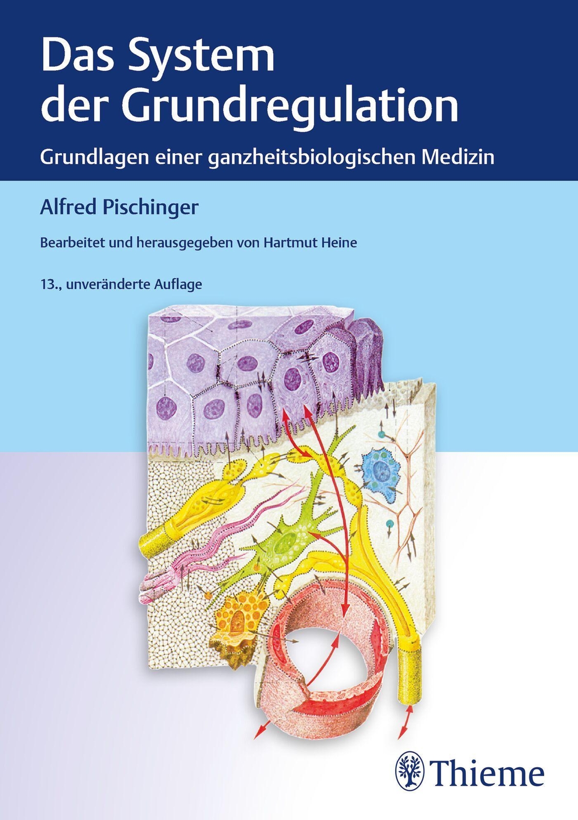 Thumbnail - Das System Der Grundregulation, Alfred Pischinger