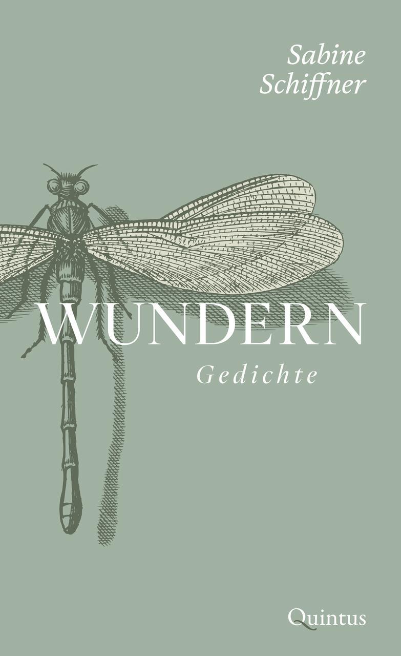 Sabine Schiffner / Wundern9783969820476