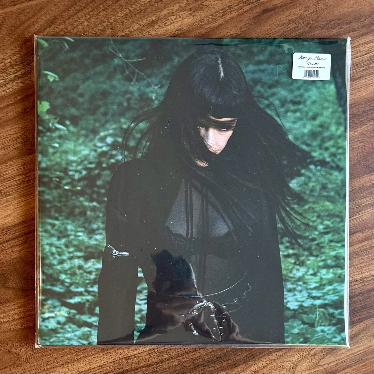 Not For Radio MELT MOSS FILLED Vinyl 🌿 The Marias Limited Edition