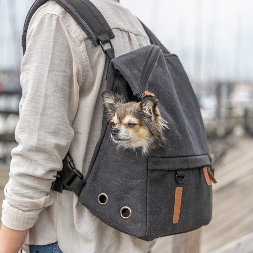 Mochila para perros Trixie BE NORDIC Bjorn negra, PVP 29,99 EUR, NUEVA - Imagen 5 de 5