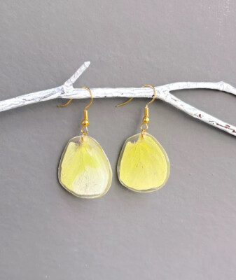 Real Butterfly Wings Common Grass Yellow Butterfly Earrings, Handmade Earrings