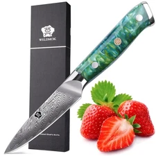 Paring Knife 3.5 Inch, 67 layers Damascus Steel VG 10 Blade Fruit Knife, Smal...