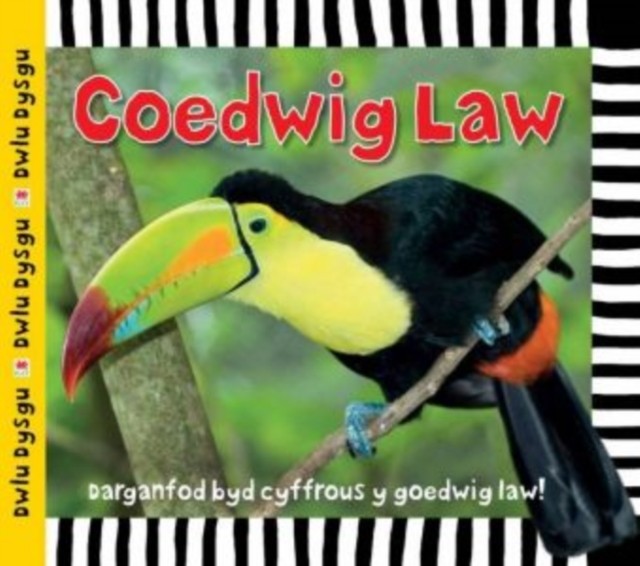 Cyfres Dwlu Dysgu: Coedwig Law by Sarah Powell (Hardback Book)