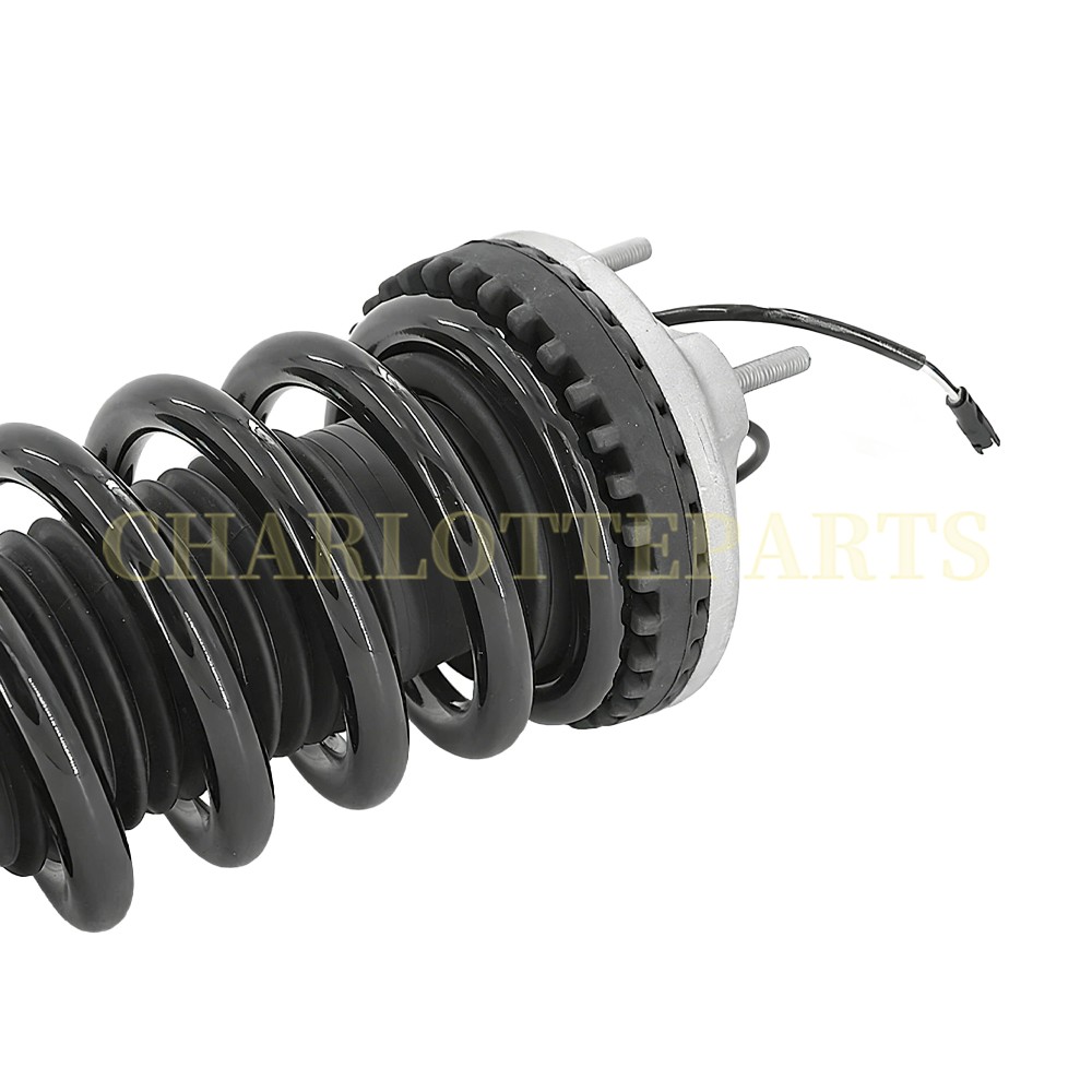 Maserati Quattroporte S Q4 2014-2020 Front Right Struts 2 pcs P/N 670030332