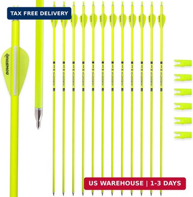 Carbon Arrow Archery 30inch Bright Colors Hunting Target Practice Arrows for Com