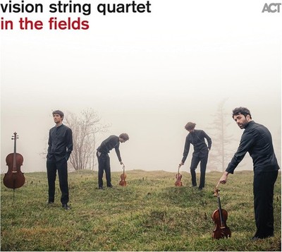 Vision String Quartet Vision String Quartet: In the Fields (Vinyl) 12'' Album