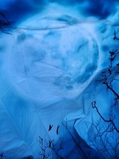 Baocicco 15x10ft Halloween Theme Photography Backdrop Vinyl Gloomy Background