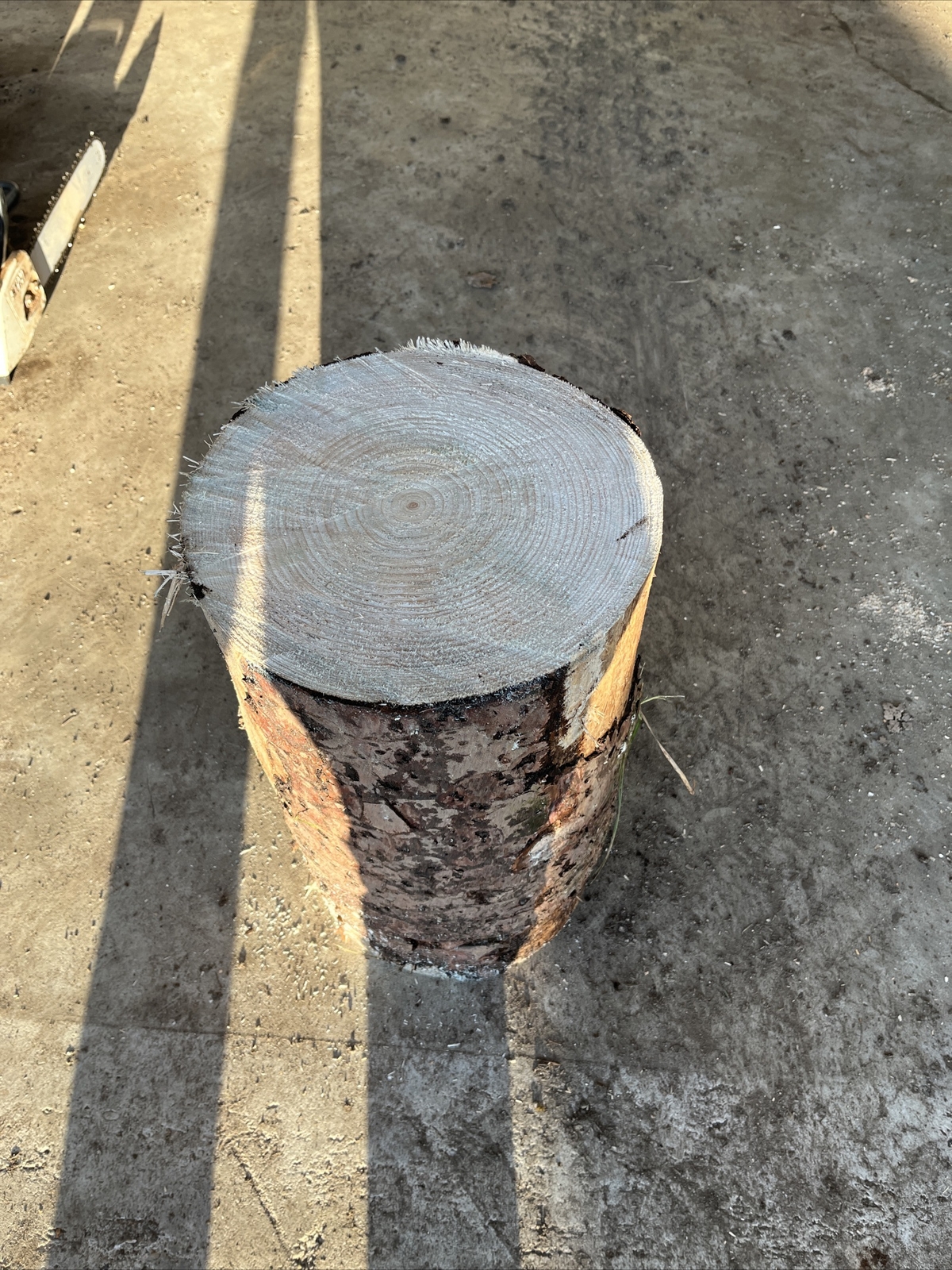 Hackklotz Hauklotz Spaltklotz Fichte Kein Eiche