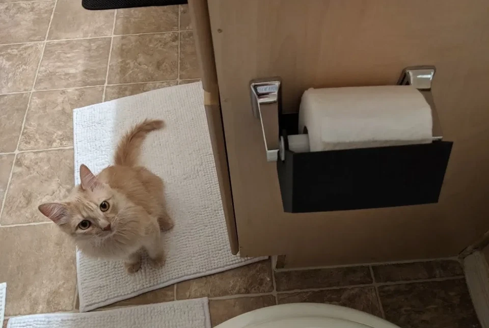 Protector de papel higiénico en ángulo | Protector inferior de papel higiénico | Protector a prueba de mascotas Foto 3 de 4