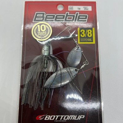 Bottom-up Beable 10th Anniersary