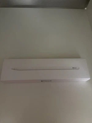 Apple Pencil Pro Pen para Apple iPad - Imagen 1 de 4