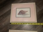 Picture 6 of 10