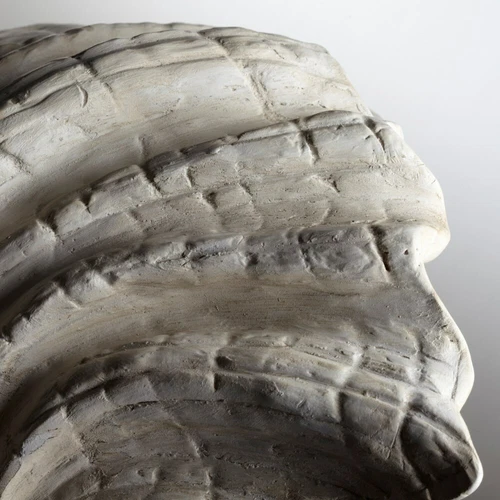 Sea Shell Light Wall Sconce Shelly Coastal Nautical Beach  ~ Cyan Design 05158 - Picture 5 of 7