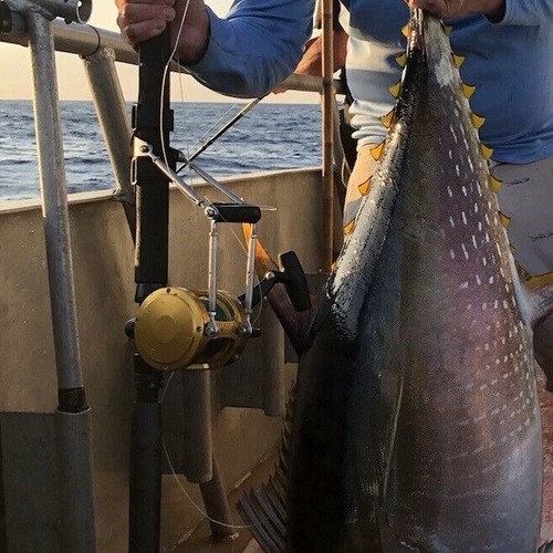 Poignée De Pêche Zeke's Big Game En Acier Inoxydable - Support Offshore, Coupe Universelle, Pour Canne Lourde