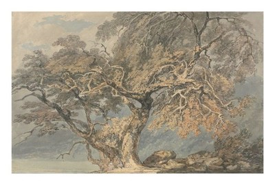 J.M.W. Turner A Great Tree : Archival Quality Giclée Art Print ca. 1796