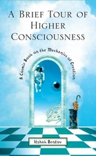A Brief Tour of Higher Consciousness: A Cosmic Book on the Mechanics of Crea...