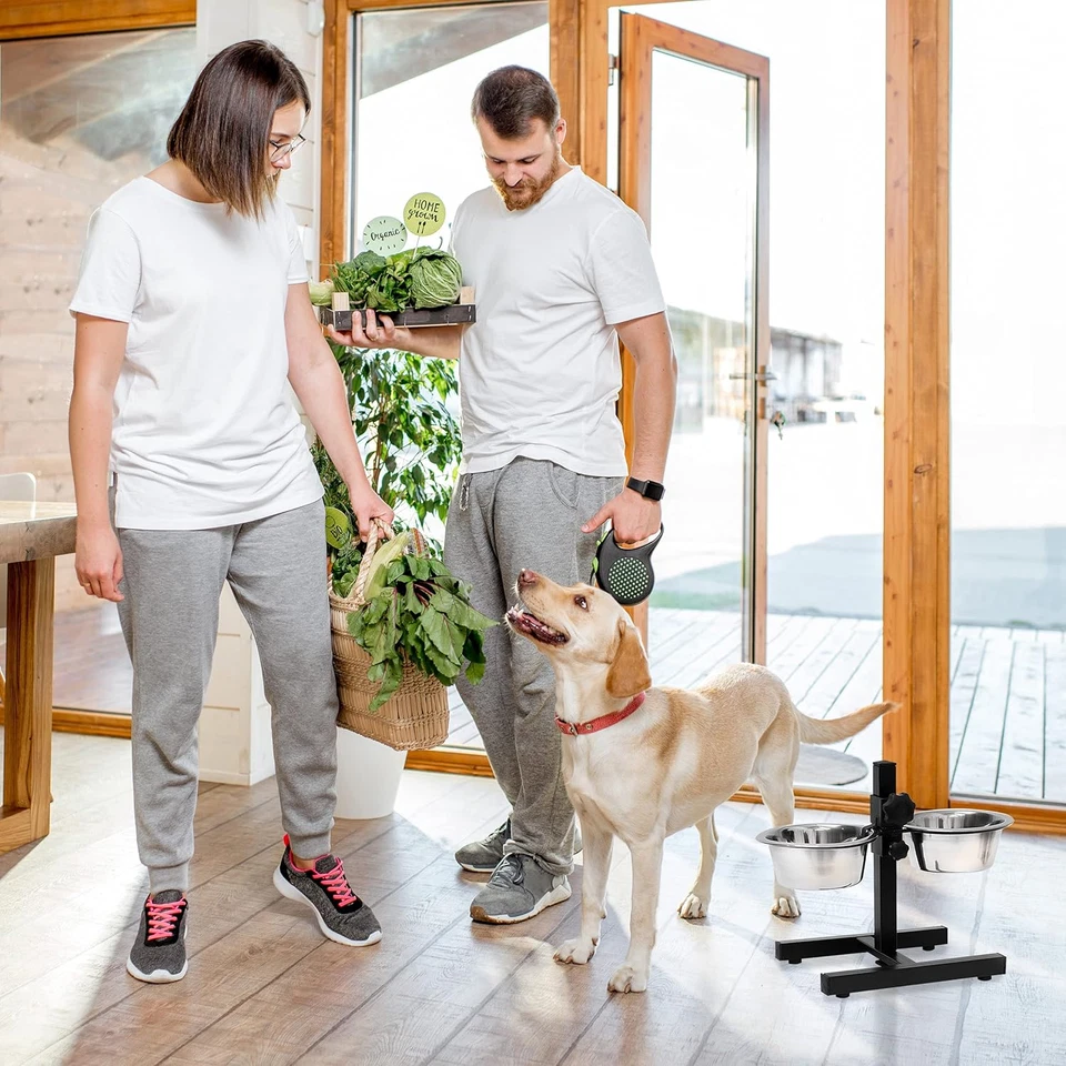 Ciotole Rialzate per Cani in Acciaio, 2,2 L, Hxlxp: 42X53X26 Cm, Supporto Regola - Immagine 3 di 4