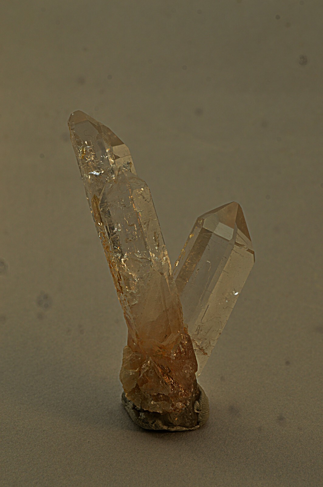 Picture 6 of 6