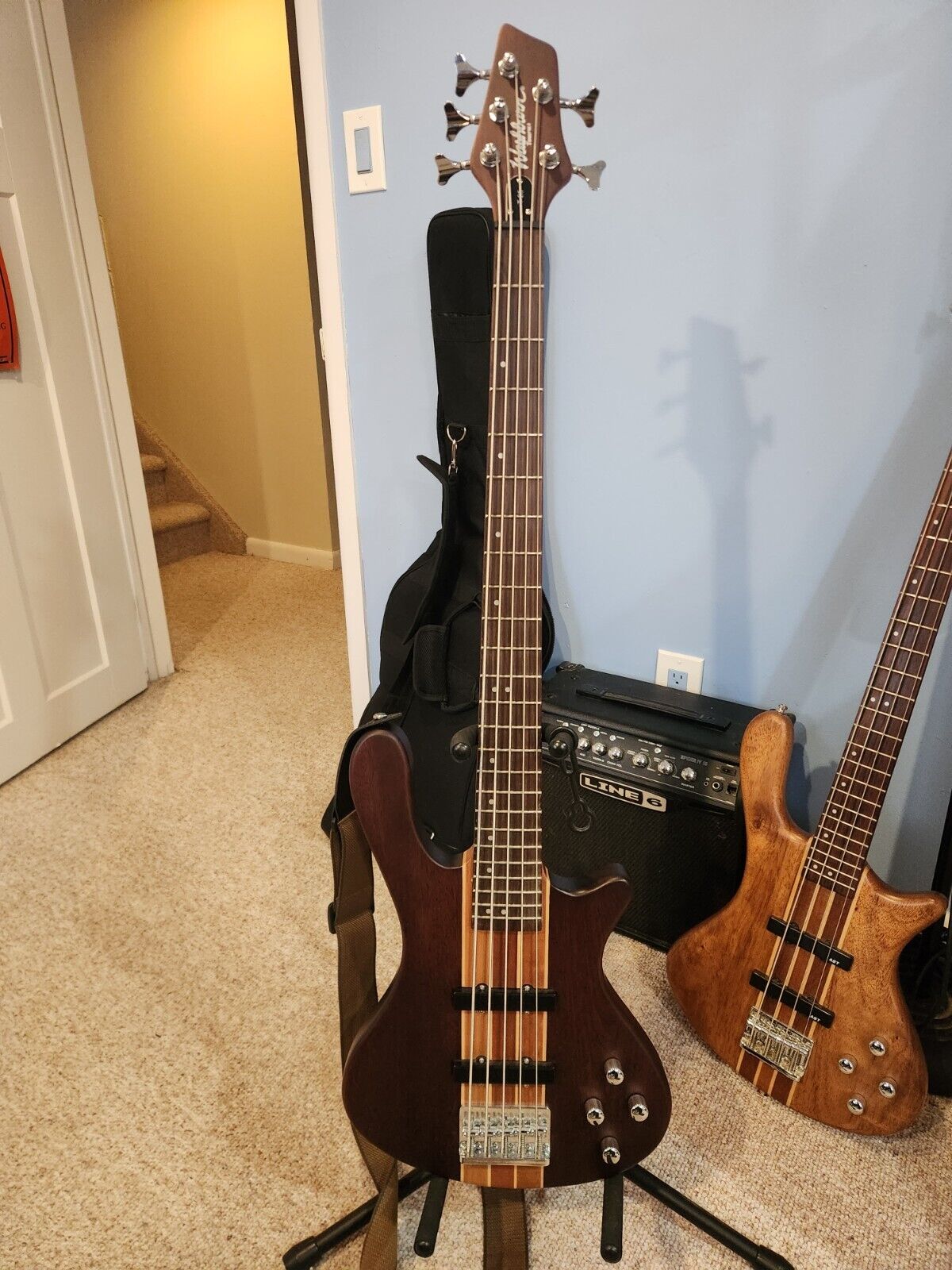 Washburn Taurus T25 5-String Bass with Gig Bag.