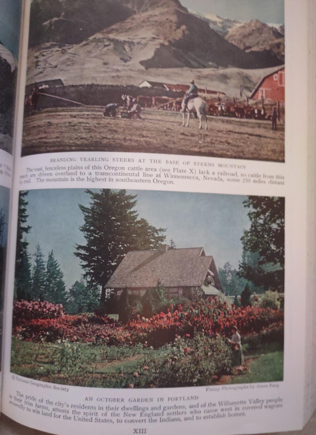 Picture 7 of 7