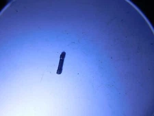 FEG  PMK Kassnar  380 Pistol   Parts Trigger Guard Pin    Pre owned