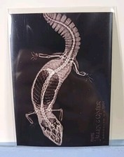 2024 Topps Allen & Ginter Fat-Tailed Gecko Oregon Zoo #XR-15 X-Ray Insert Lizard