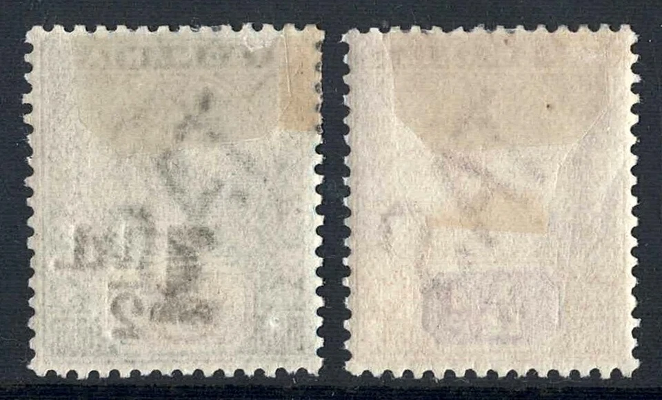 Tasmania 1900-03, 1d en 5/2, 1/2d naranja, Victoria, como nuevo, con bisagras Foto 2 de 2