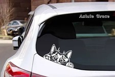 Peeking Kitty Cat Die Cut Decal Sticker for Car Window Car Bumper Color: White