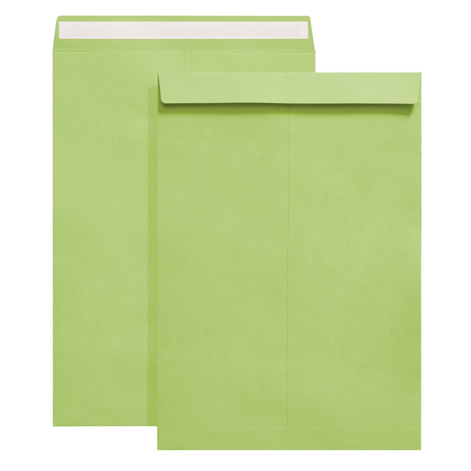 9" x 12.75" Light Green Self-Seal Catalog Envelopes 100