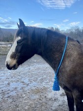 Horse Neck Ropes 5/8 inch marine grade nylon rope for bridle less riding, 66inch