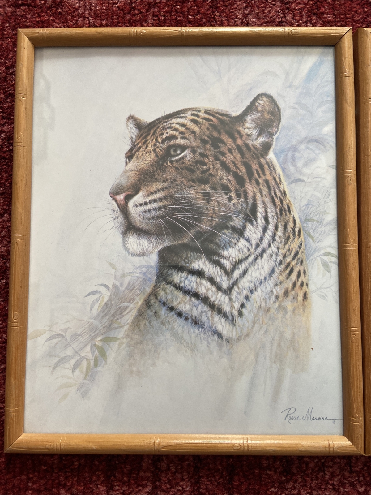 Picture 2 of 12