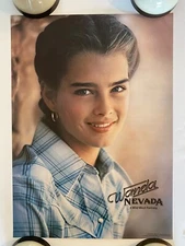 Wanda A Wild West Fantasy Vintage Original Poster Pro arts Actor Movie 1980s