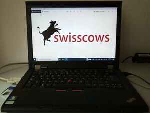 Lenovo ThinkPad T410i, Core(TM) i3 CPU, 250 SSD, 2.40 GHz, DVD (Akku defekt)