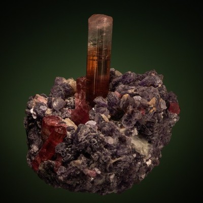 Harris coll Elbaite on Lepidolite (repaired) Stewart Mine, California 1807-H03
