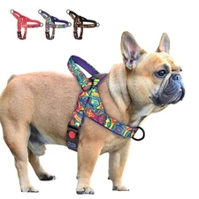 US No Pull Nylon Dog Harness Padded Front Leading Vest Quick Fit Buckle Lockable