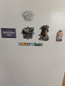 (6) Vacation Refrigerator Magnets