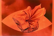 Brittney Leeanne Williams Art Announcement Card 2025 Armory Show NYC 4?x6?