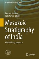 Mesozoic Stratigraphy Of India Santanu Banerjee