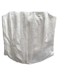 Zara Bustier Boned Corset Top Cream Butterfly Embroidery White Ivory Bride Nwt S