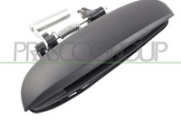 AußEngriff Heck Links FüR Hyundai Prasco HN0028102 HN0028102