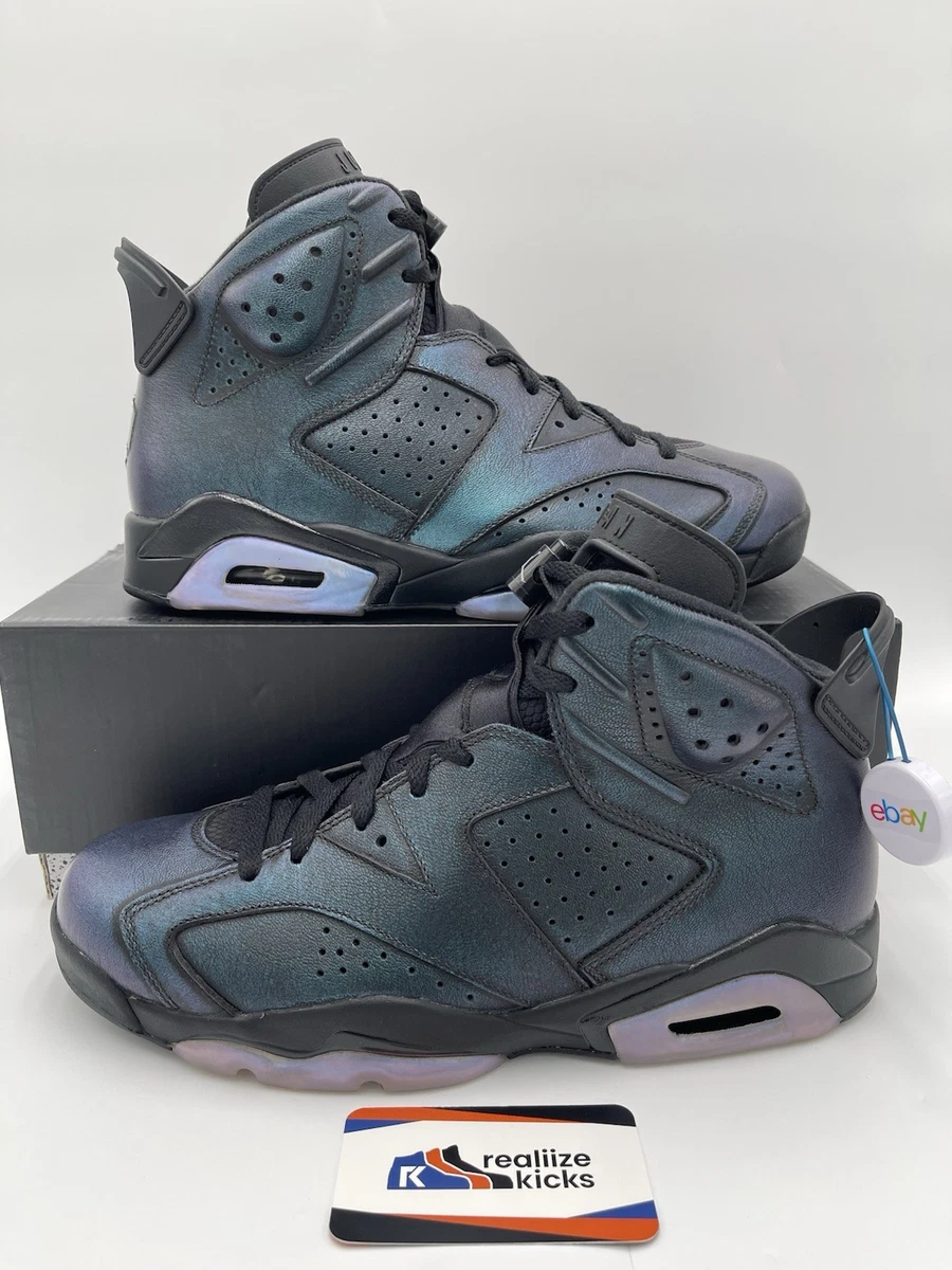 Jordan 6 Retro All Star - Chameleon for Sale - Authenticity