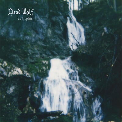 Dead Wolf - Evil Spirit - LP NEU