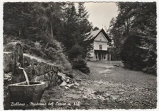 BOLBENO - BORGO LARES - TRENTO - MADONNA DEL LARICE - TRAVEL 1956 -15423-