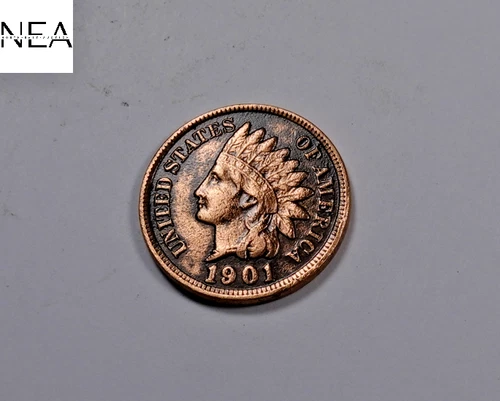 1901 Indian Head Penny Cent ~ AU/Uncirculated ~ ZI602