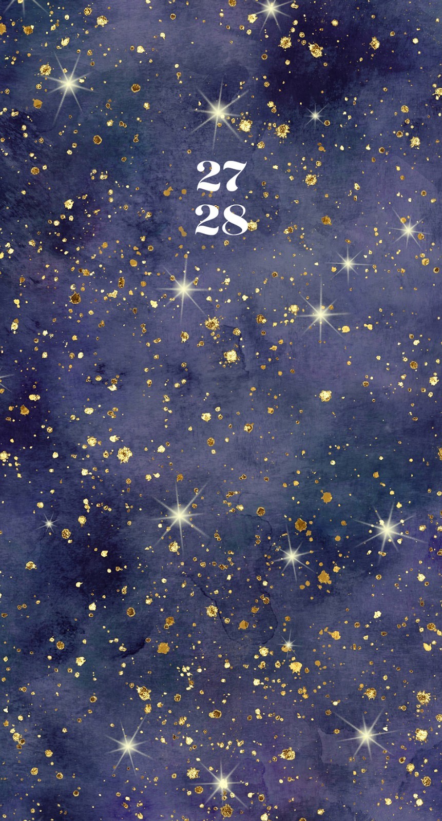 Starry Night 2-Year 2027-28 3.5" x 6.5" Monthly Pocket Planner