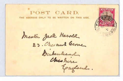BERMUDA Postcard PPC Undivided Back CART Vignette 1904 HORSES {samwells}YJ131 - Picture 3 of 12